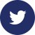 BTC_WEBSITE-social media icons (blue)-16